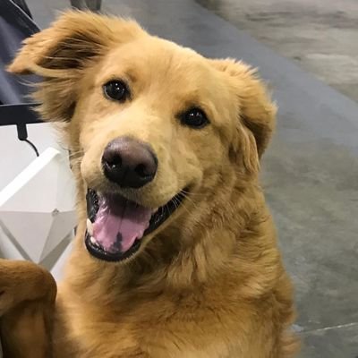 aSigrid2's profile picture. 