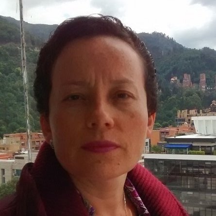Profesora Titular
Universidad Nacional de Colombia.