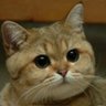 juzles1's profile picture. 