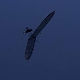 FlightSimple's profile picture. 