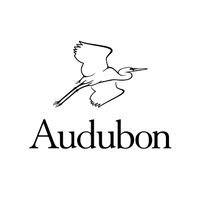 Audubon North Carolina(@AudubonNC) 's Twitter Profile Photo