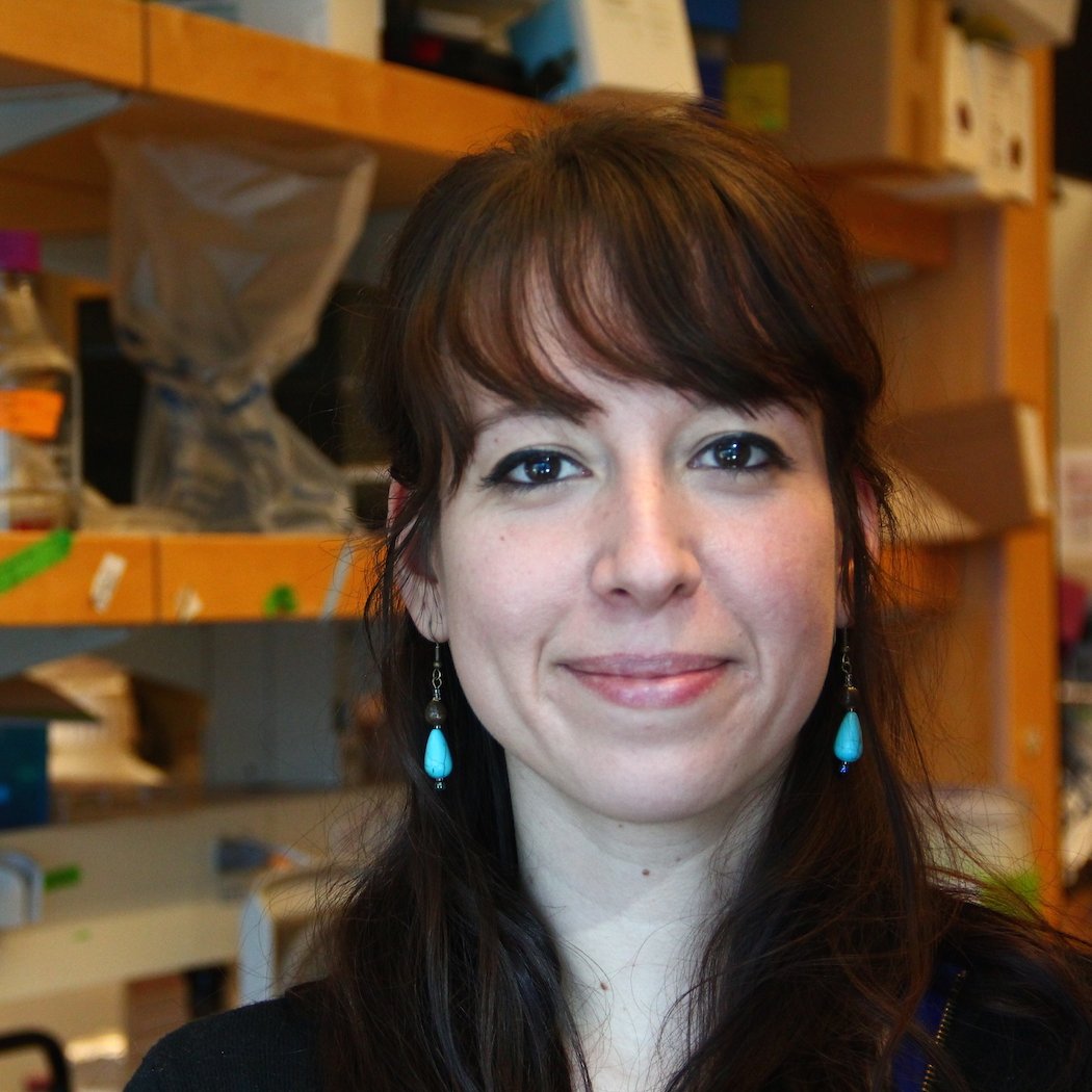 Protein biochemistry and evolution || Research associate at UBC- @tokuriki_lab ||