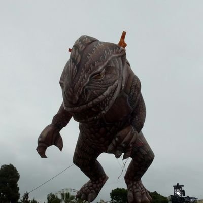 AlexFAF50428041's profile picture. 