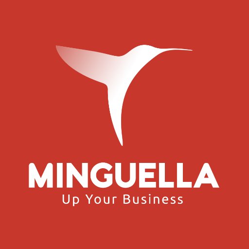 Grúas Minguella es una empresa especializada en elevación y en servicios especiales de manipulación de cargas.