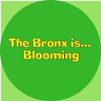 Bronx Is Blooming (@bronxisblooming) 's Twitter Profile