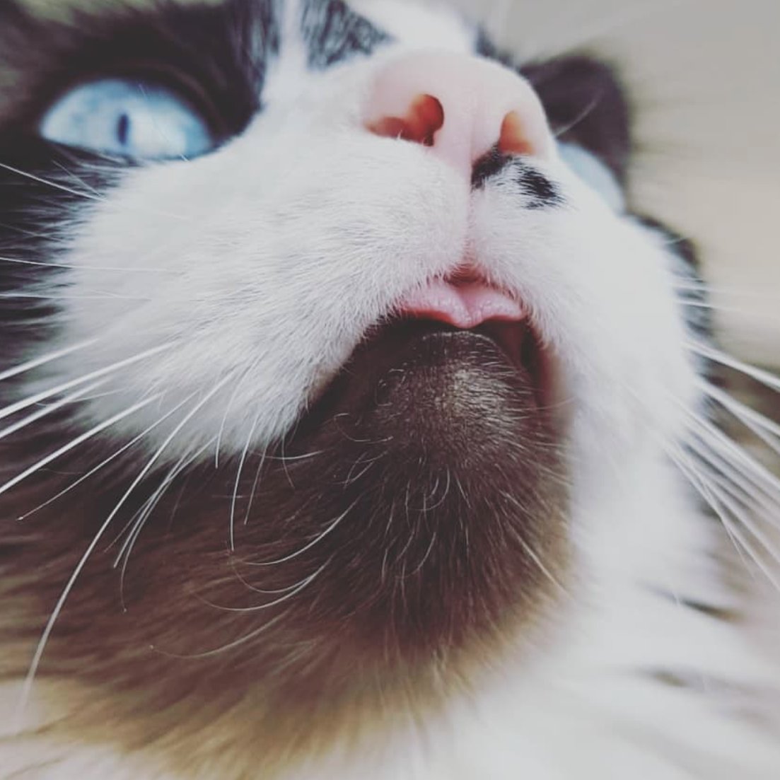 ConvertusD's profile picture. 