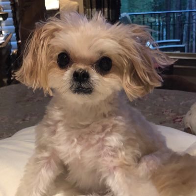 ruthie48's profile picture. 