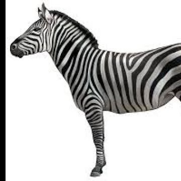 GewoonBor's profile picture. 