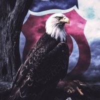 Beşiktaş Sevdalıları 🇹🇷 (@tutkum1903) 's Twitter Profile