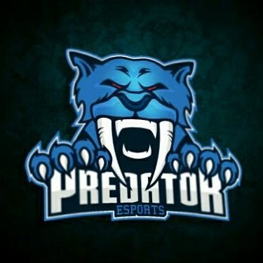 TeamPredator_ES's profile picture. Twitter  oficial Team Predator | Organización Profesional de los eSports.