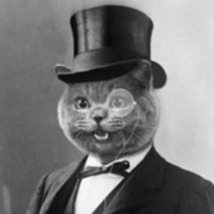 fancy_cat_man's profile picture. Ukraine is not Russia. 🇺🇦🇺🇦🇺🇦