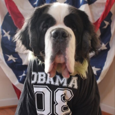 Are you a dog? Do you support Democrats? Send in your pics!