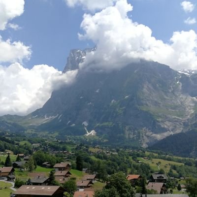 zahrani31's profile picture. https://t.co/MzT7rrd4Qv