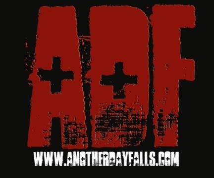 Another Day Falls Is Bringing A New Brand Of Music To The Masses!