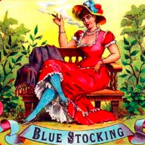 Blue Stocking