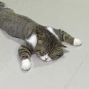 Vinnieさんのプロフィール画像