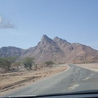 عمر السريحي (@abosattam101) 's Twitter Profile