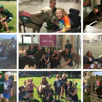Soul Harbour Ranch (@soulharborranch) 's Twitter Profile Photo Soul Harbour Ranch (@soulharborranch) 's Twitter Profile Photo