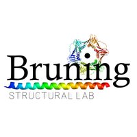 Bruning Structural Lab (@bruninglab) 's Twitter Profile