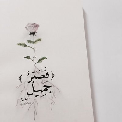 anwarr11's profile picture. اللهم أدخلني برحمتك في عبادك الصالحين 💕 Graduate of Software Engineering