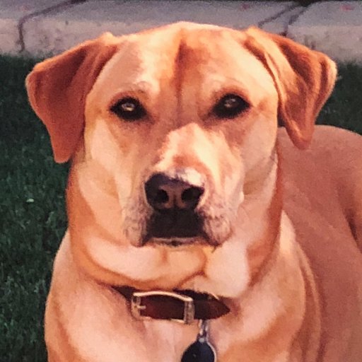 PhxWilliamD's profile picture. 