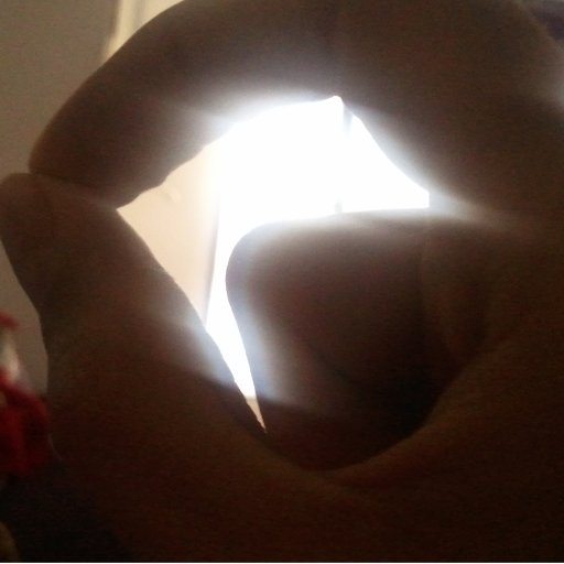 HDavvz's profile picture. ΔirectΔemocracy