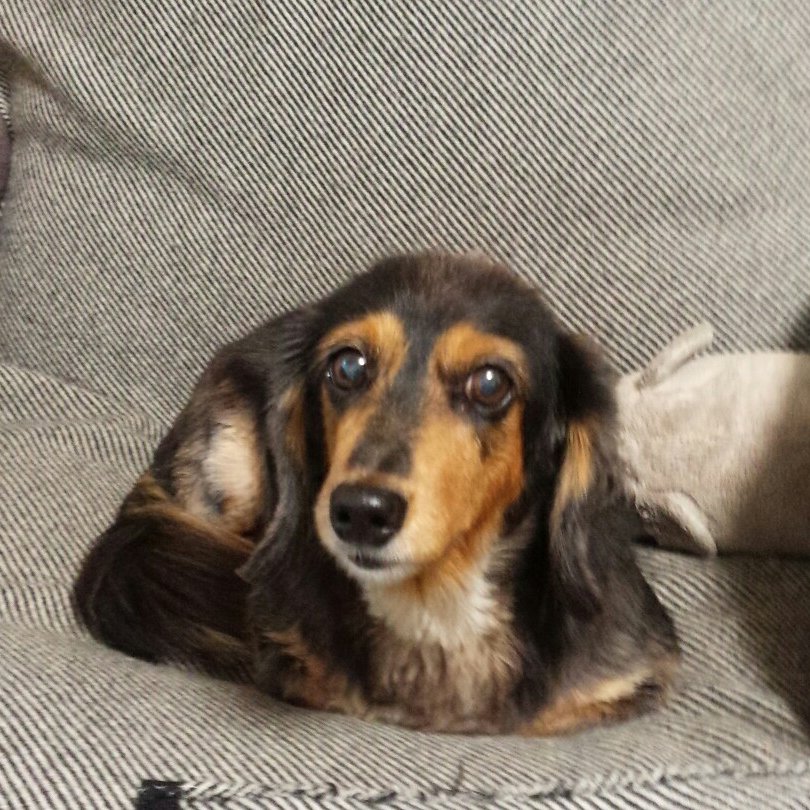 002101kishimoto's profile picture. ☆構成作家☆動画編集☆料理