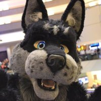 Rowdy Rosco (@roscowolfad) 's Twitter Profile
