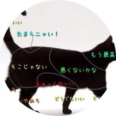 はれぴんさんのプロフィール画像