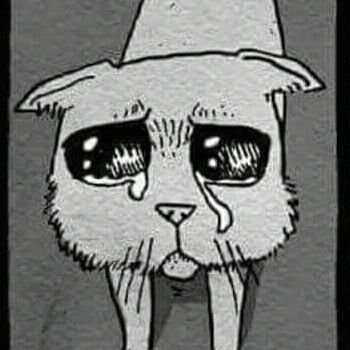 ttttpo123's profile picture. 21.