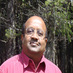 andy alagappan (@seoppcguru) Twitter profile photo