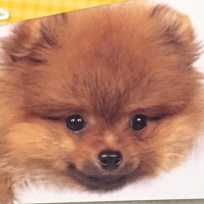 hs203768015's profile picture. よろしくお願い申し上げます。