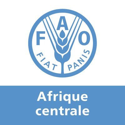 Dernières nouvelles et informations de la @FAO en Afrique centrale. Suivez notre Directeur général QU Dongyu, @FAODG