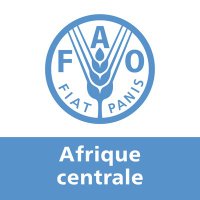 FAO Afrique centrale(@FAOAfriqueCent) 's Twitter Profile Photo