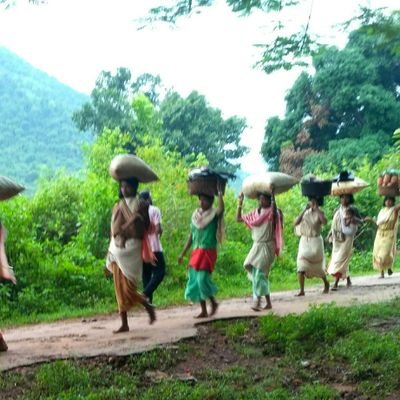 RameshS28932631's profile picture. Researcher