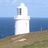 trevose's profile image