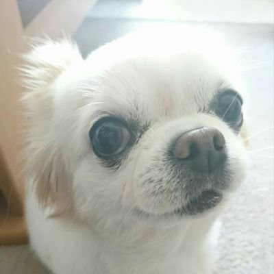 maru*mameさんのプロフィール画像