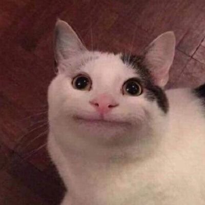 Youngk__Day6's profile picture. 선생님 저는 인생이 적성에 안맞는거같아요
20↑