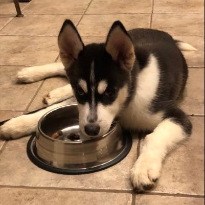 jsumrow's profile picture. 