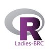 R-Ladies BRC photo