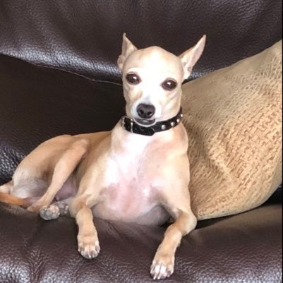 ribo2312's profile picture. 