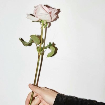 _vante_tae's profile picture. ＠bts_twt @ITZYofficial