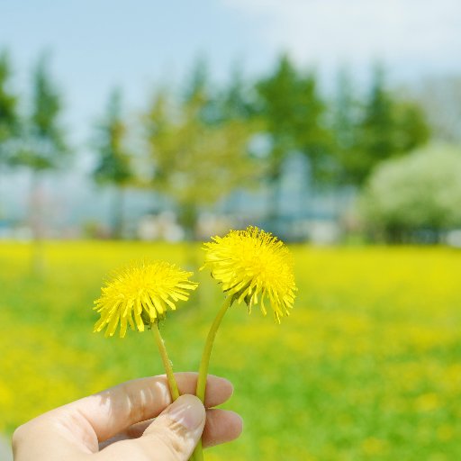 2019年秋婚予定のプレ花🌷8才差夫婦👫妊活中👶結婚式準備のあれこれ呟き&情報収集したくてアカウント作りました🐰 入籍済💍前撮り5月📷✨1.5次会11月（暫定）💕プレ花さん卒花さん必ずフォロバします♬