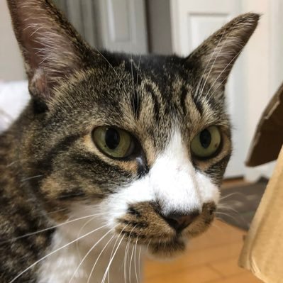 myuzeru1127's profile picture. 