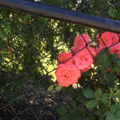 Hayley79373601's profile picture. 