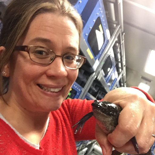 doctor_cd_reid's profile picture. I'm a very opinionated scientist.
Developmental Biologist. Postdoc. Baker Lab. Xenopus.