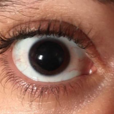 getthatmoney6's profile picture. 