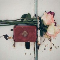 Omnia Fadlalla (@omniat95) 's Twitter Profile