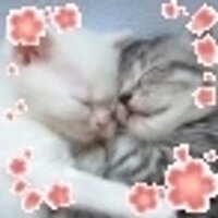 necop25 (@necop25) 's Twitter Profile