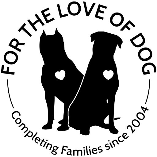 Rescuing and rehoming rottweilers and pitbulls in the north east US - New Hampshire, Maine, Massachusetts and Vermont.